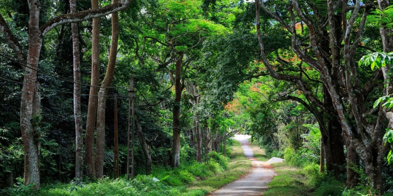 Cuc Phuong National Park