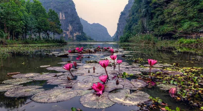 Tam Coc A Picturesque Watercolor Painting in Real Life
