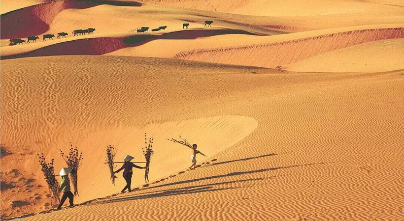 The Red Sand Dunes