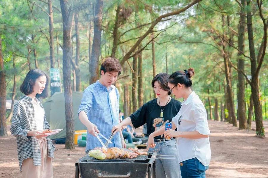 Cắm trại giữa rừng thông thơ mộng