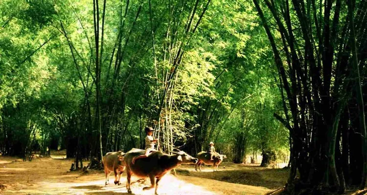 Ancient Phong Nam village