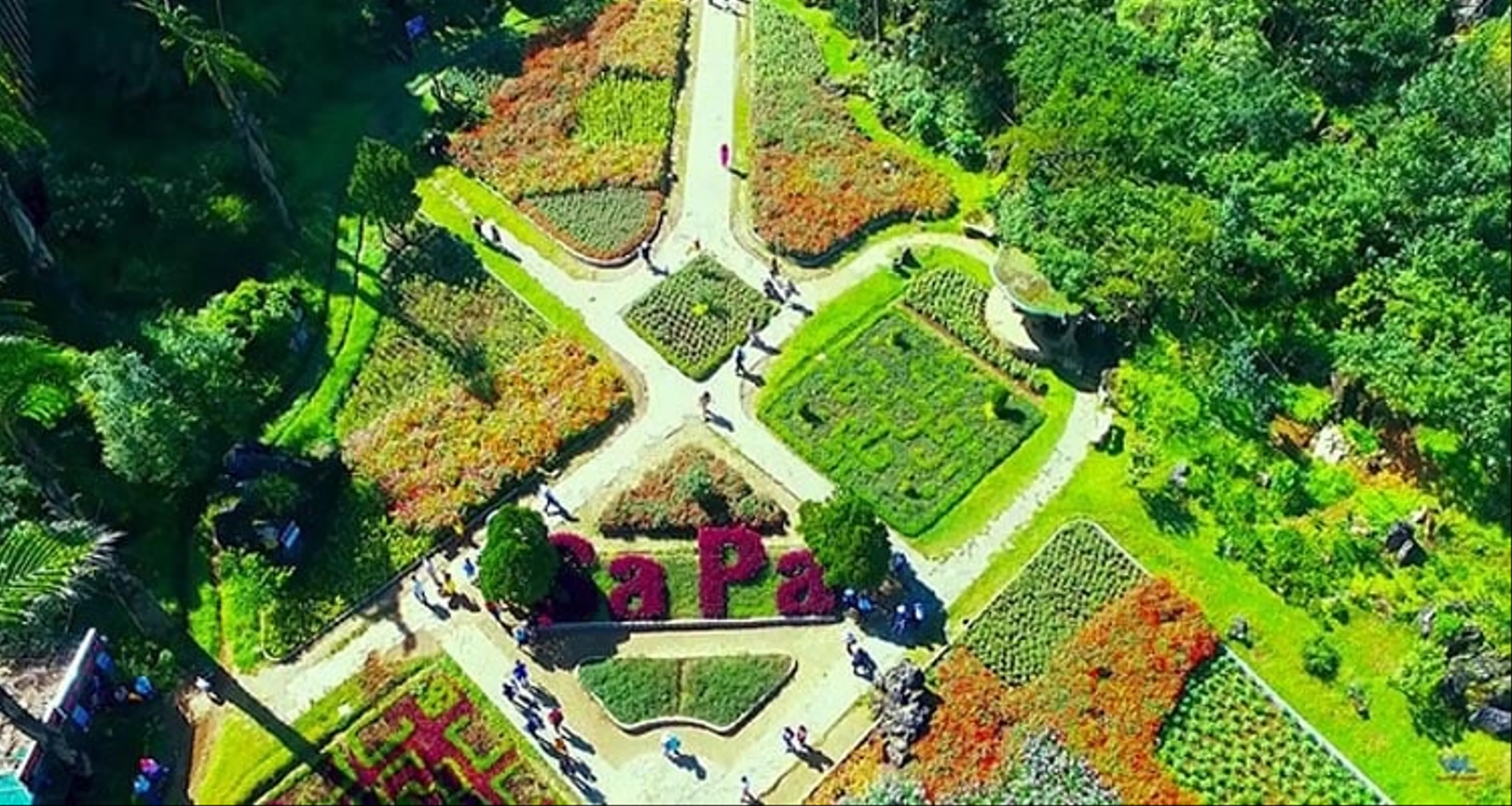 Discover the beauty of Sapa, the foggy city
