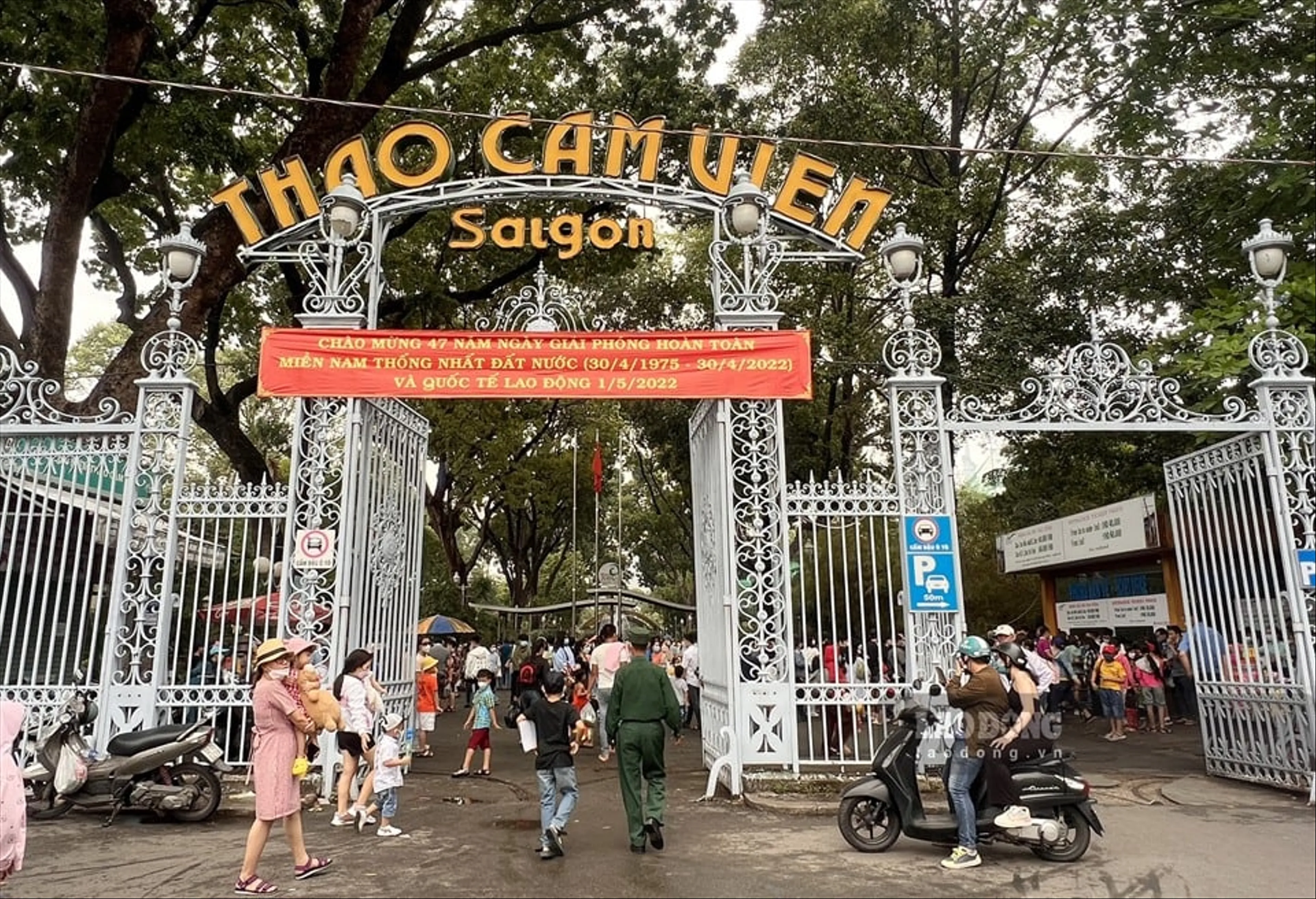 Exploring Saigon's Thao Cam Vien: Routes and Experiences