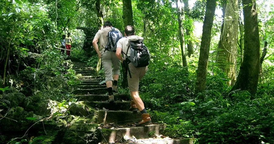 Mọi ngóc ngách trog rừng đều dễ dàng tạo ra hững khung hình tuyệt vời