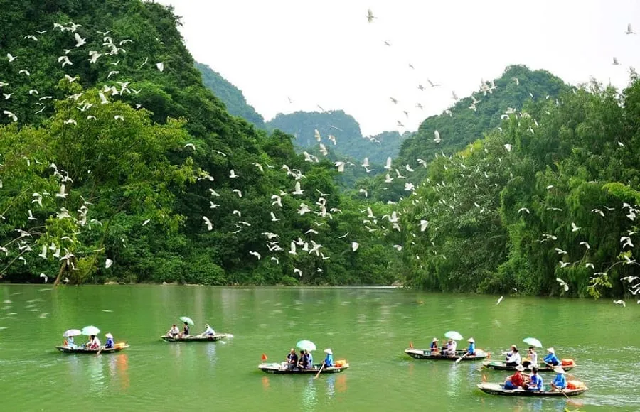 Chèo thuyền ngắm cảnh giữa vườn chim hùng vĩ