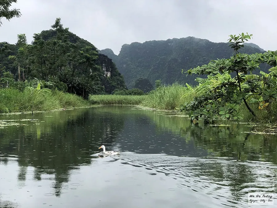 Mặt hồ tĩnh lặng bình yên