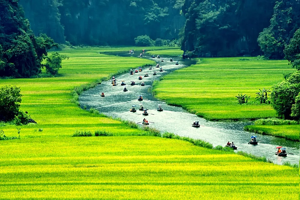 Kayaking on Ngo Dong River