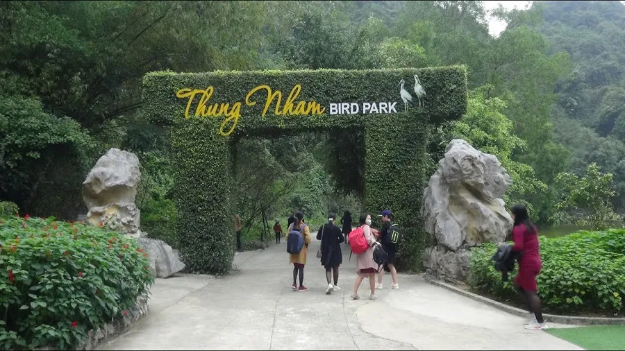 Vườn chim Thung Nham được mệnh danh là thiên đường của các loài chim