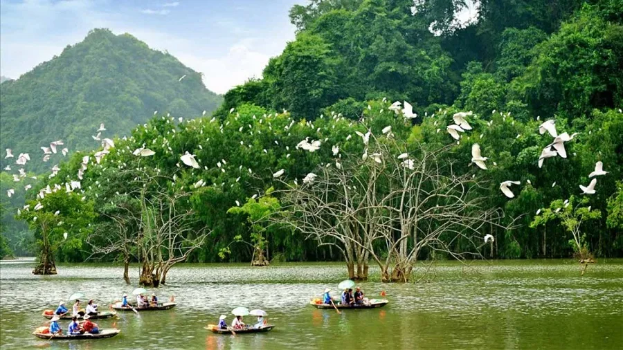 Vườn Thung Nham với khung cảnh thiên nhiên mộng mơ hùng vĩ