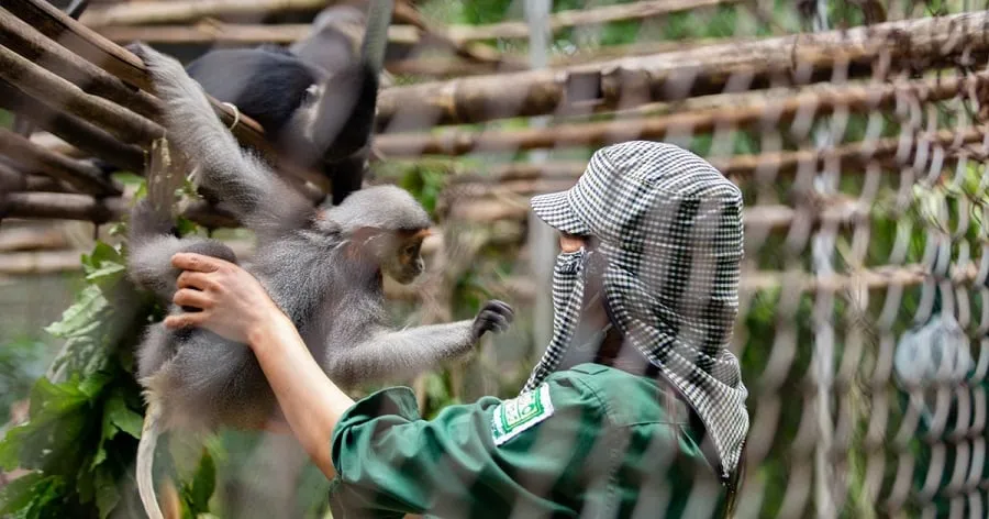The rescue center is a place to care for individual animals