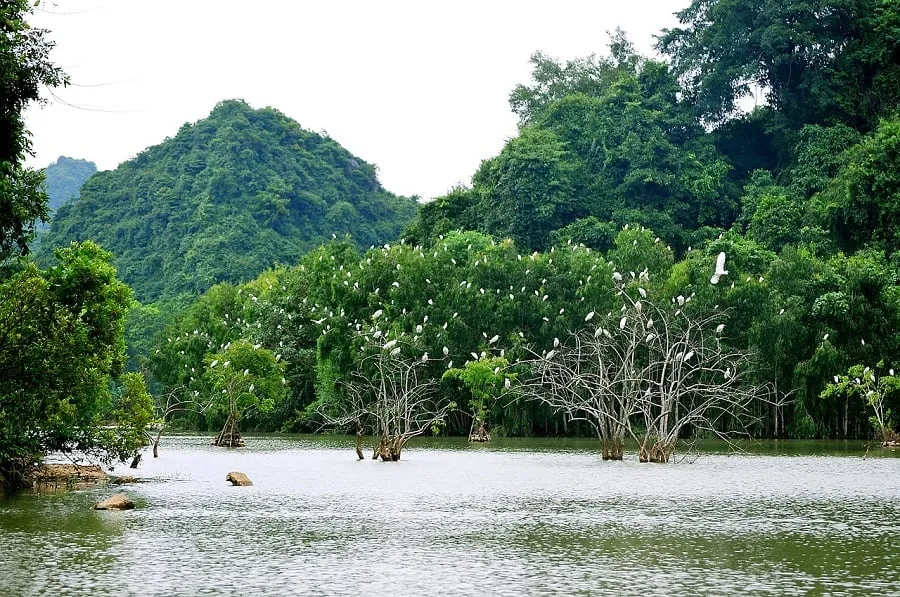 Thung Nham là một trong những vườn chim có diện tích lớn