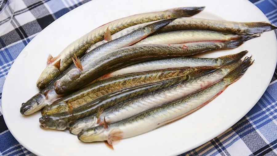 You should choose fresh goby fish to enhance the flavor of the hot pot