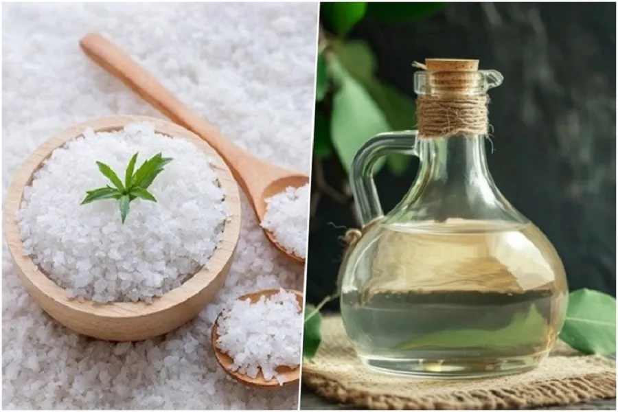 Vinegar and salt have a very good deodorizing effect