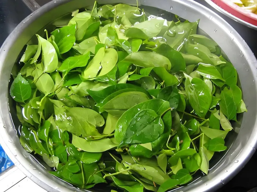 Giang leaves have a cool, sour taste