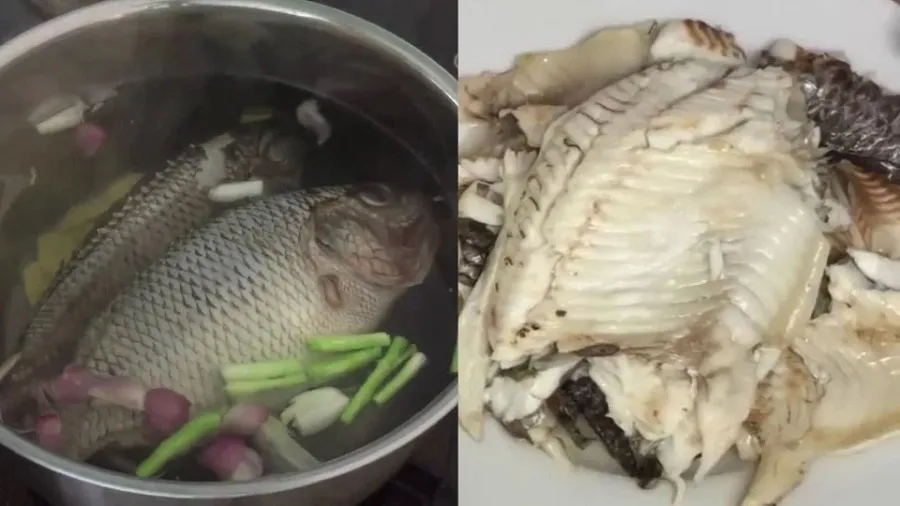 After being cleaned, the fish will be boiled to get stew