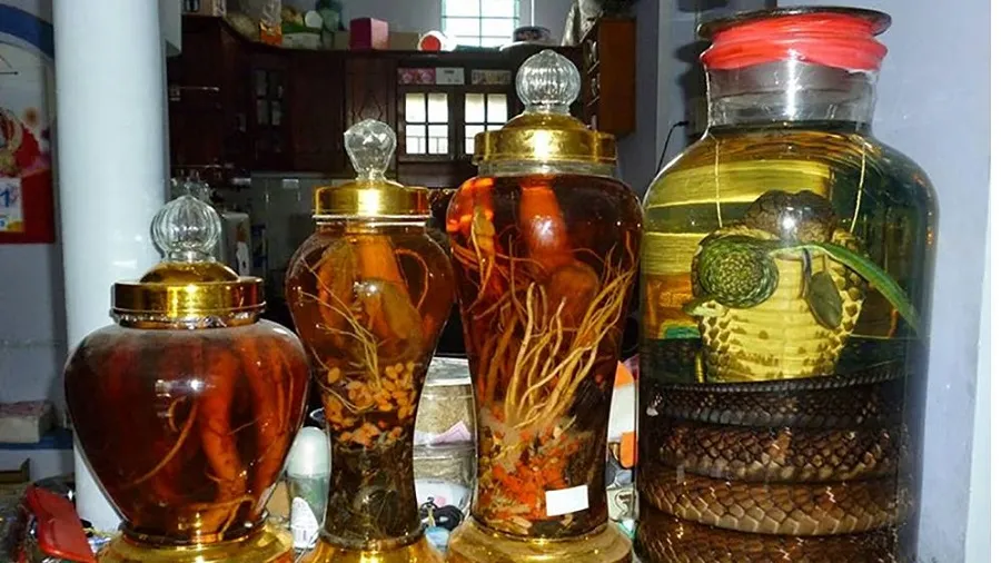 After successfully brewing, Kim Son wine can be soaked in combination with many ingredients