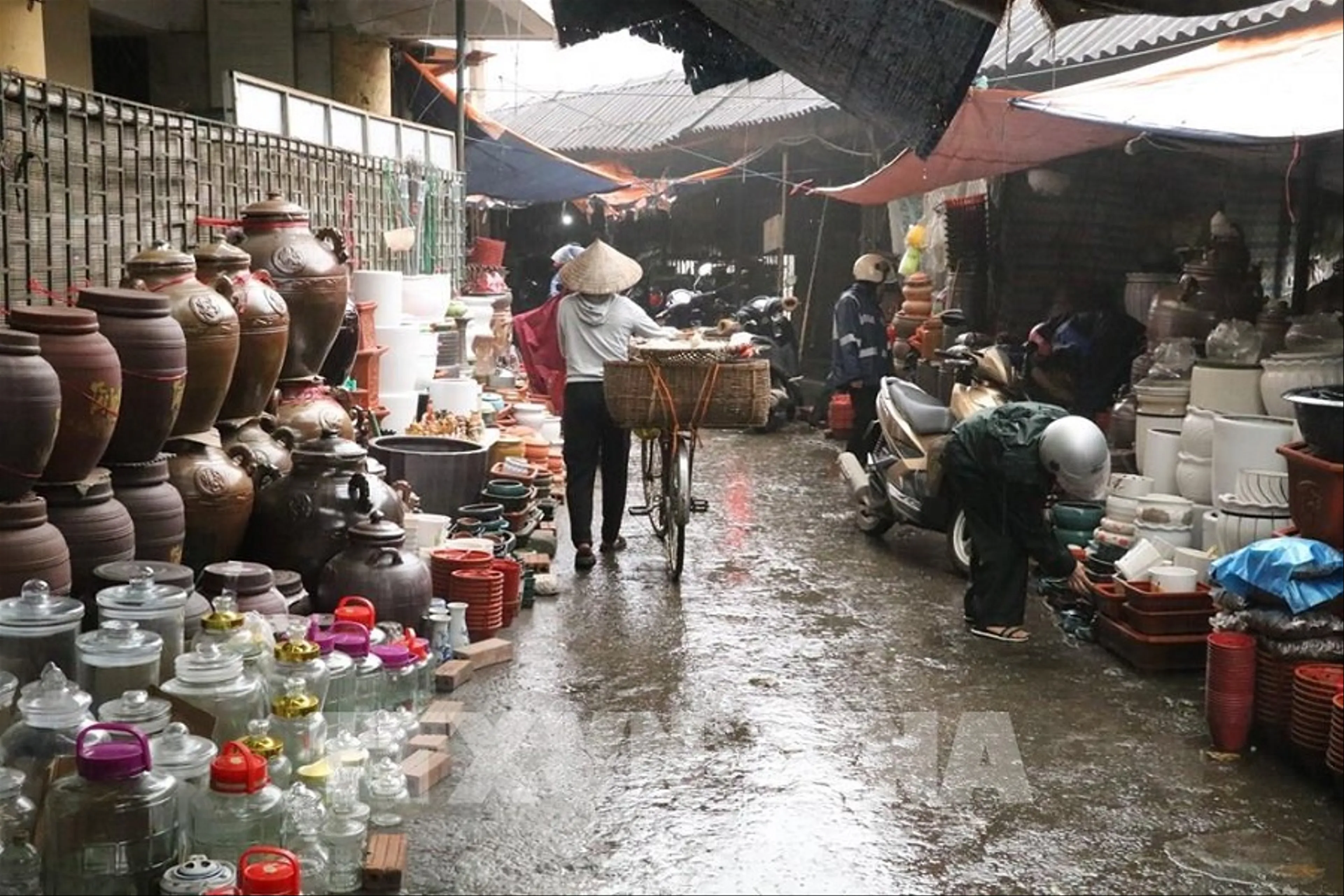 Travel Guide to Ninh Binh Dragon Market for Beginners
