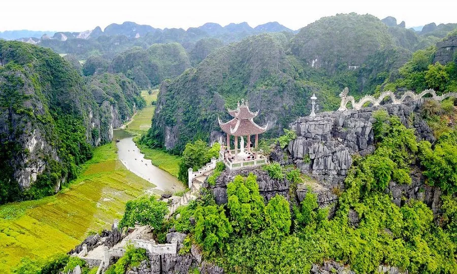 Panoramic View of Golden Rice Fields