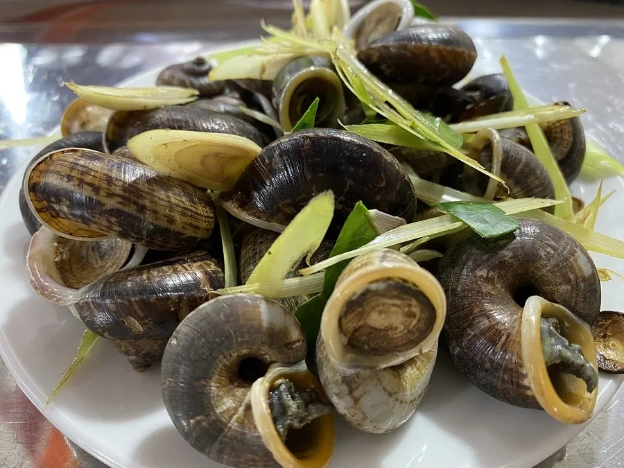 Mountain snails at Cung Dinh and Co Lau have a rustic flavor
