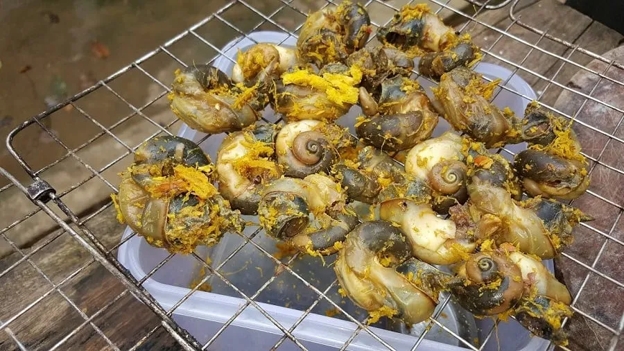 Van Bao Ngoc with many variations for Ninh Binh mountain snail dish