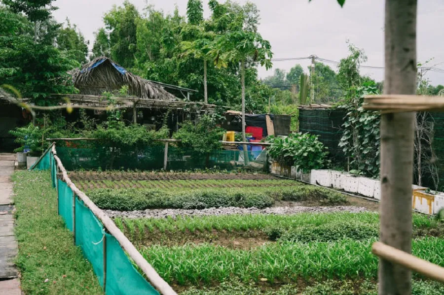 5Ku Farm helps you experience country life
