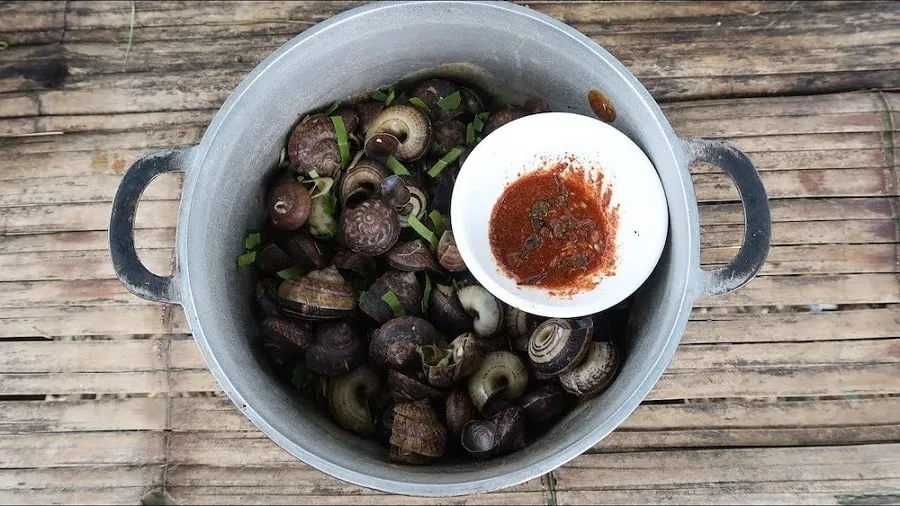 You should enjoy mountain snails around April