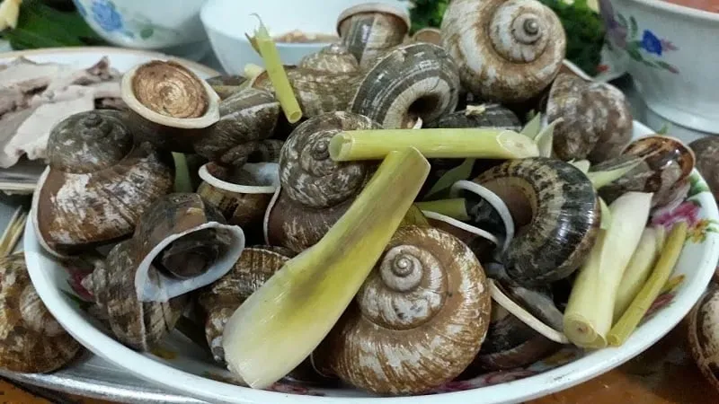 Mountain snails have a strong aroma and a faint herbal flavor