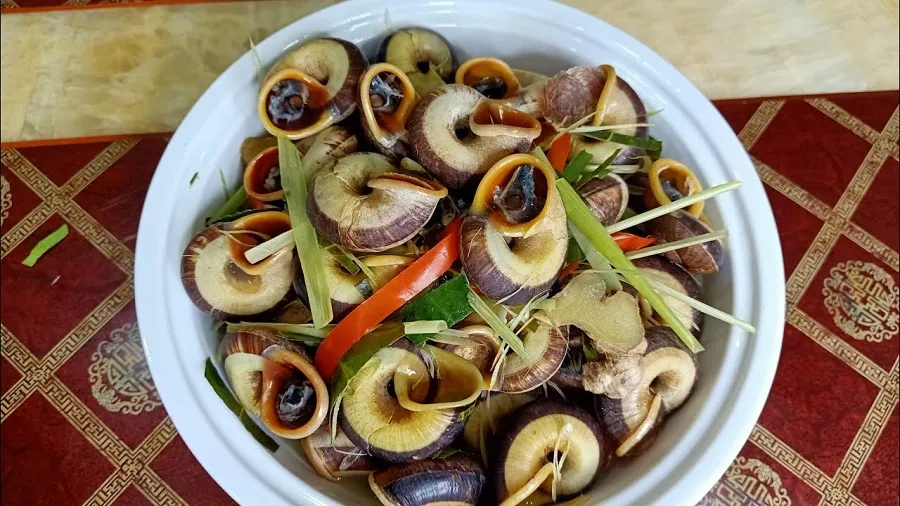 Mountain snails have different colors and flavors from other snails