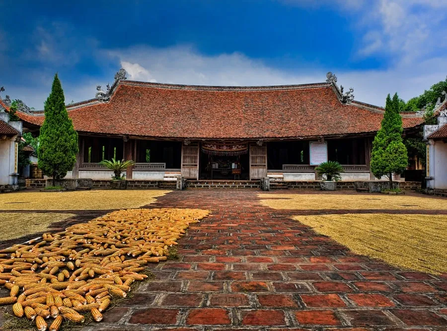 Duong Lam ancient village brings back the rustic look of the past