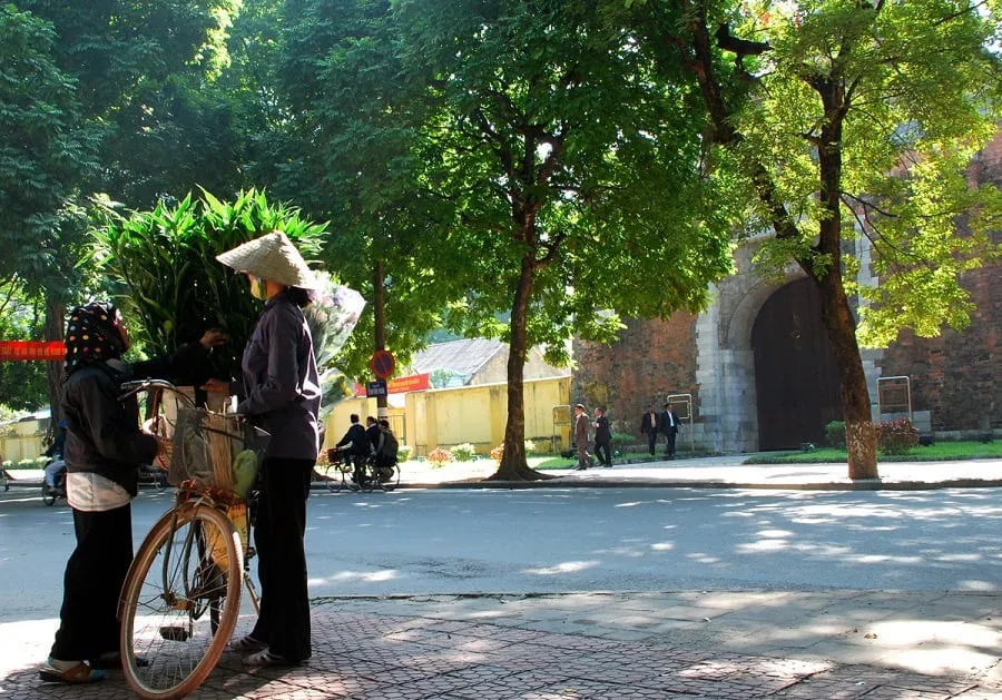 The quiet but no less poetic beauty of Phan Dinh Phung