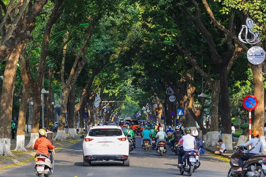 Phan Dinh Street with a stream of people passing by