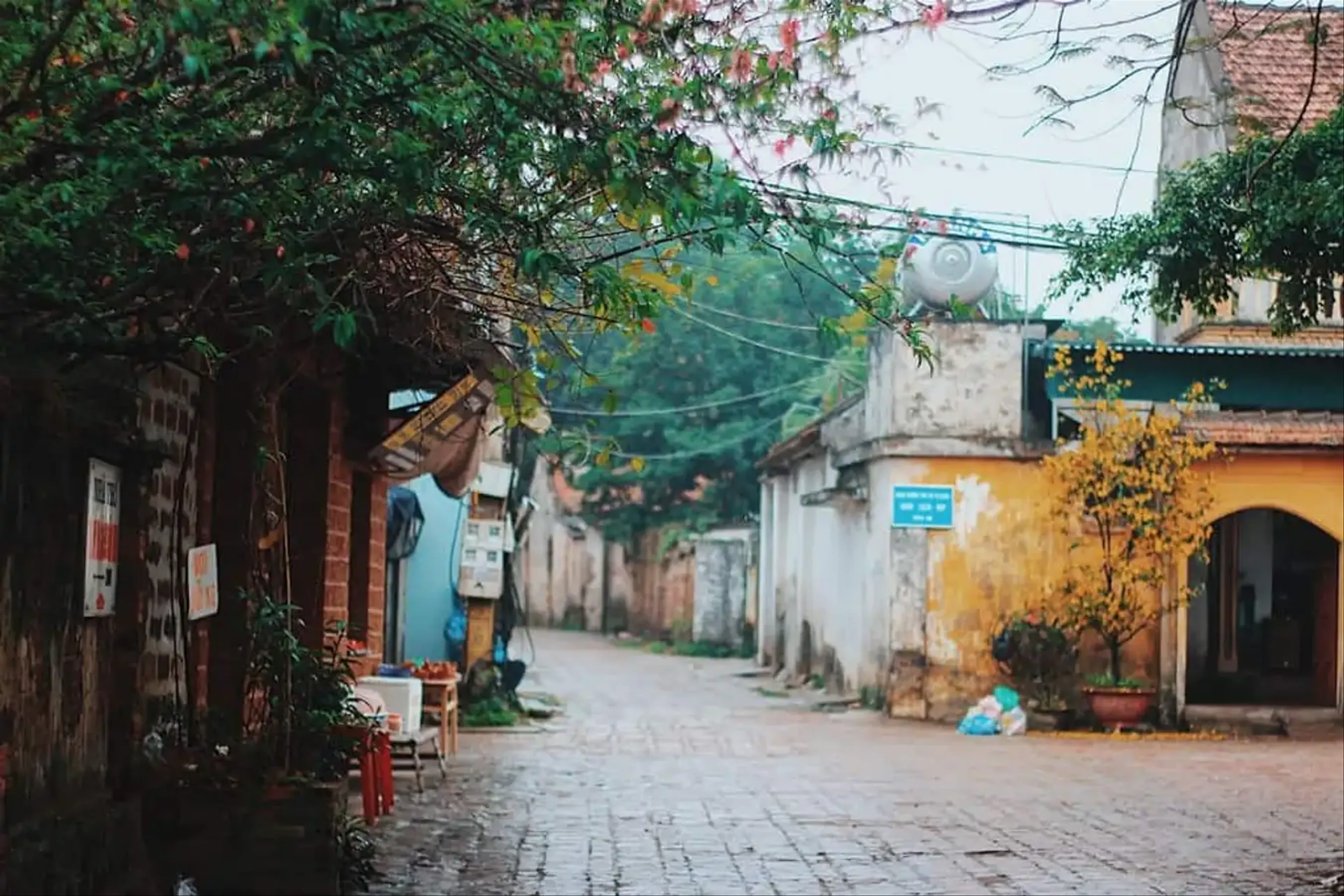 Khám phá các điểm tham quan độc đáo tại làng cổ Đường Lâm
