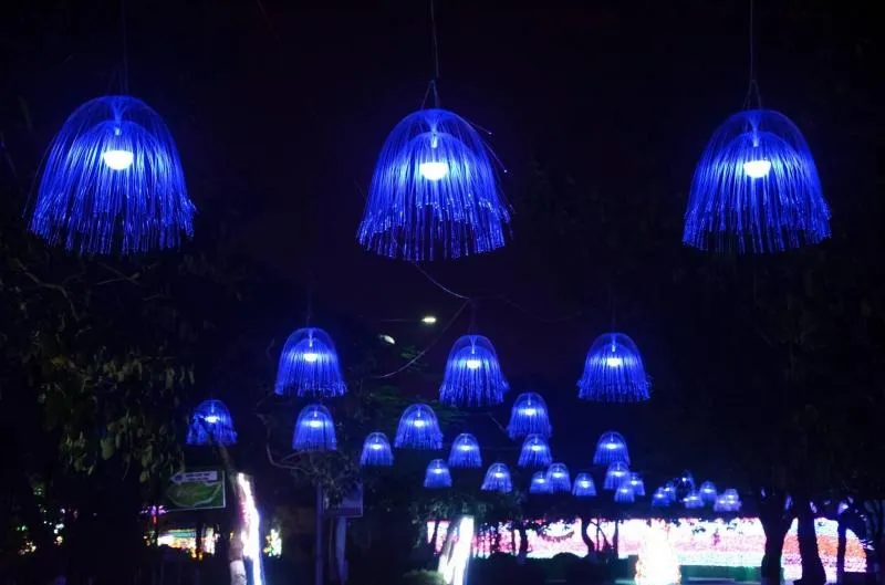 light show at asia park