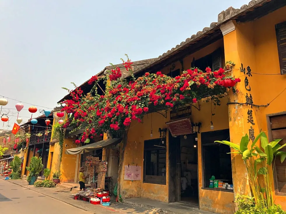 Hoa giấy hội an
