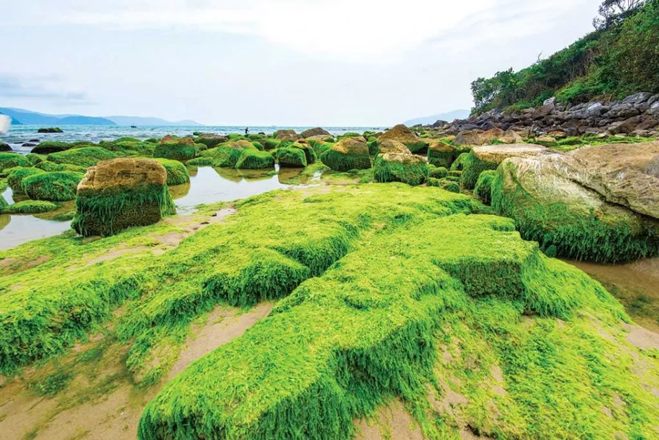 Rạng Nam Ô Đà Nẵng