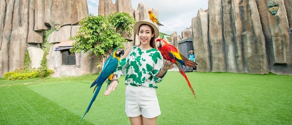 Check in cùng động vật