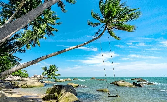 Thu gián dưới bóng dừa tại Bãi biển