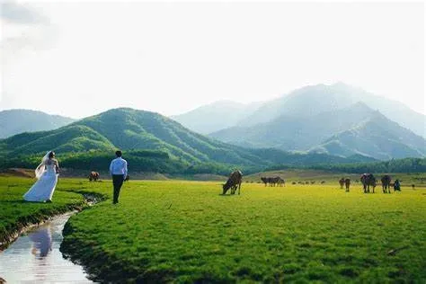 Vẻ đẹp của hồ Hòa Trung