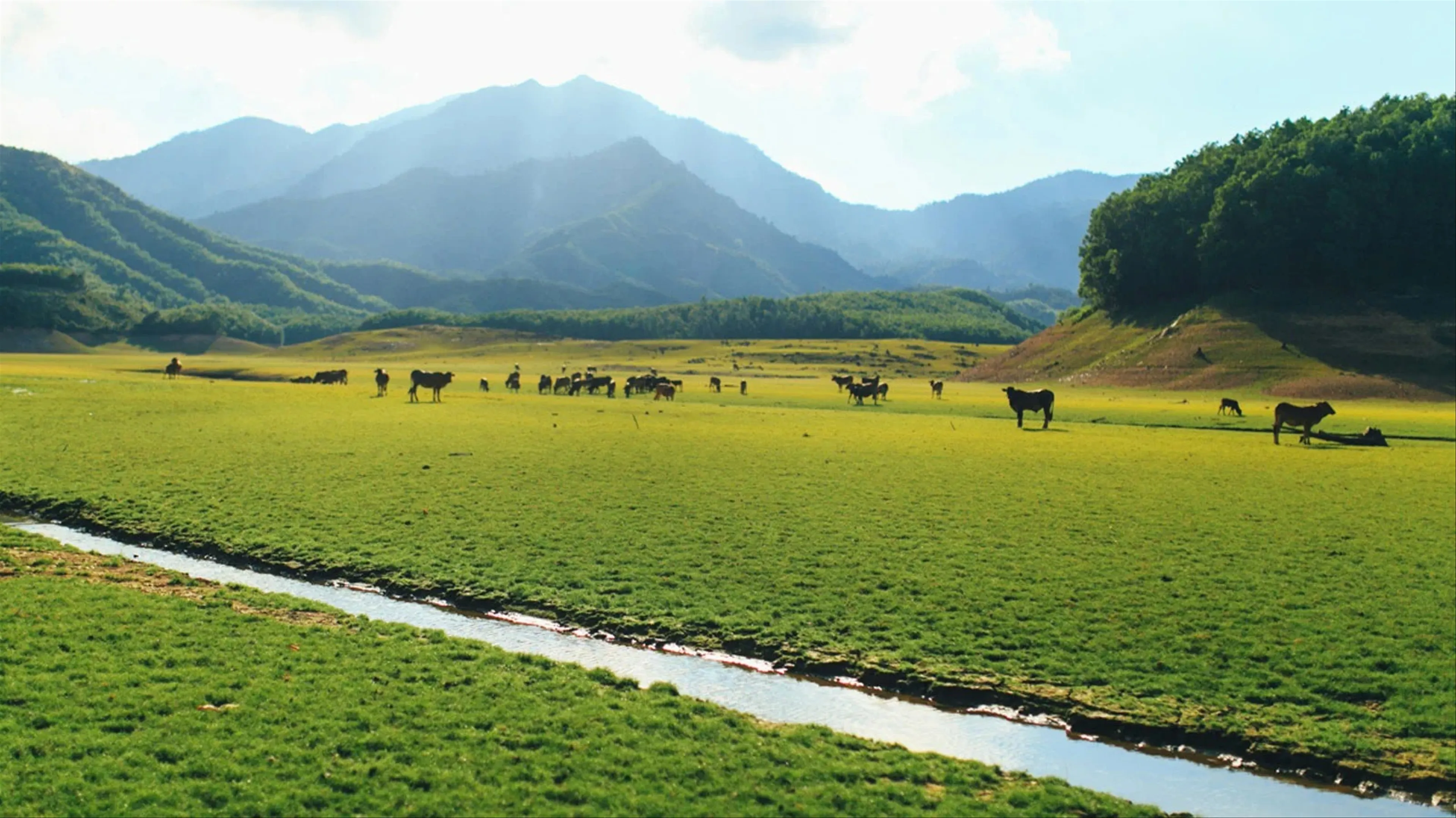 Hoa Trung Lake A Paradise in the Heart of Da Nang