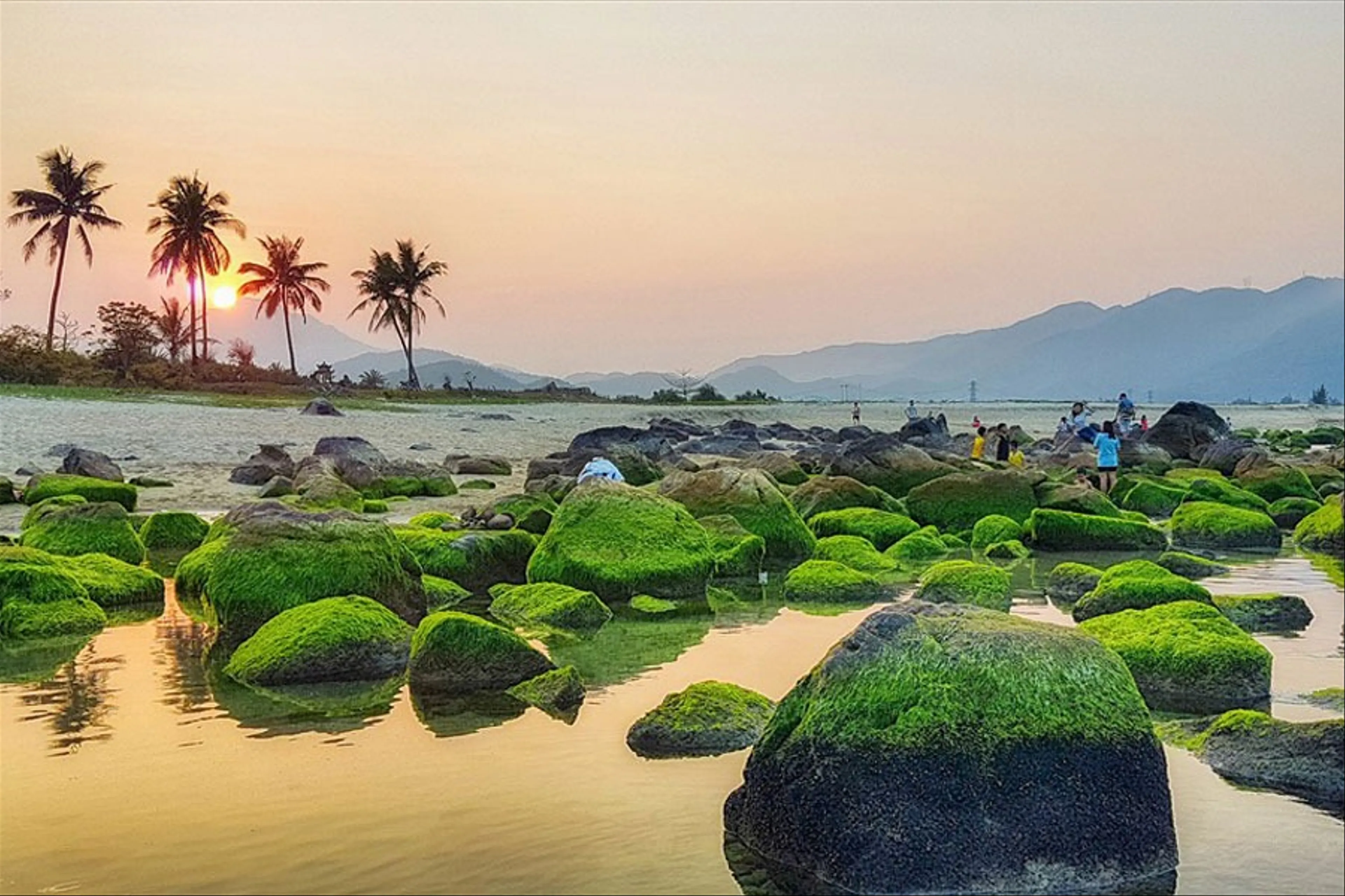 Rạn Nam Ô Đà Nẵng địa điểm du lịch thu hút du khách
