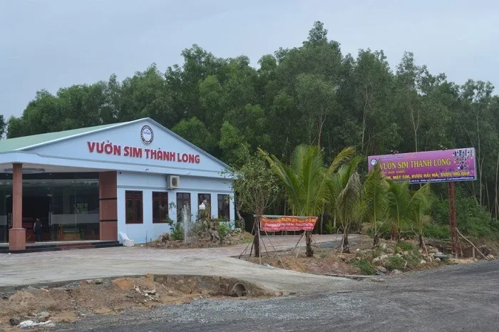 Rượu sim thành long