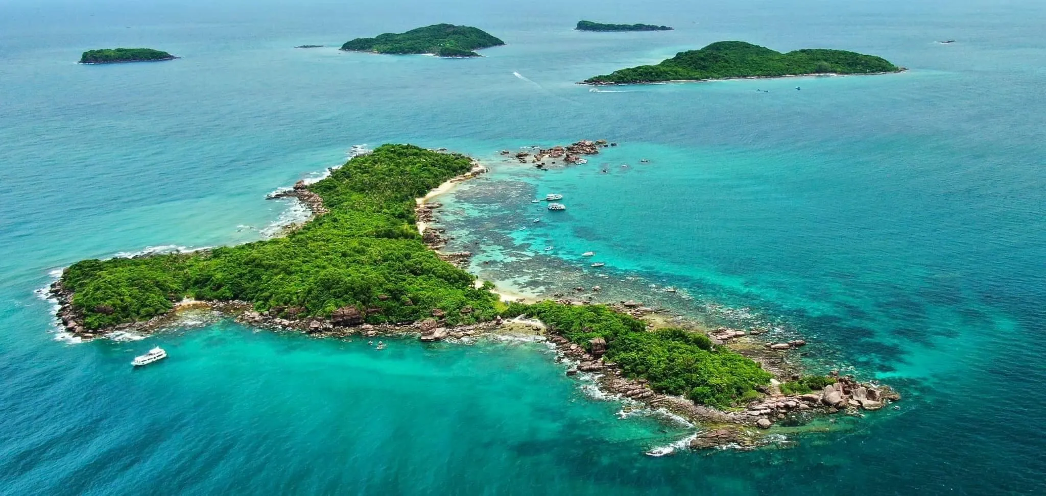 Coral kingdom
