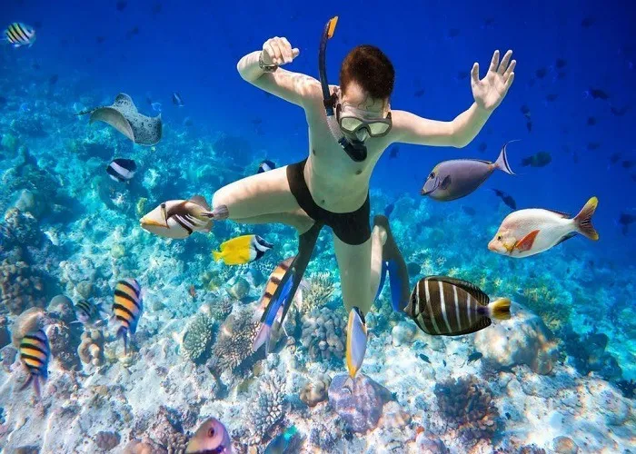 Lặn san hô tại làng chài Hàn Ninh