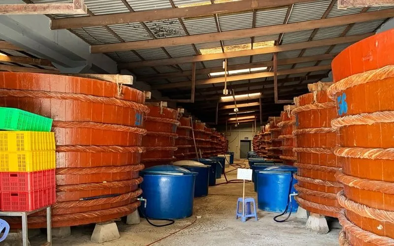 Nước mắm đặc sản phú quốc