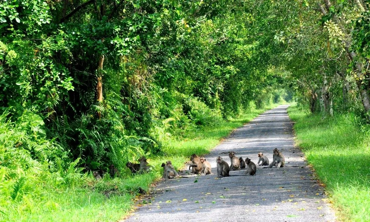 Rừng nguyên sinh Phú Quốc động vật hoang dã
