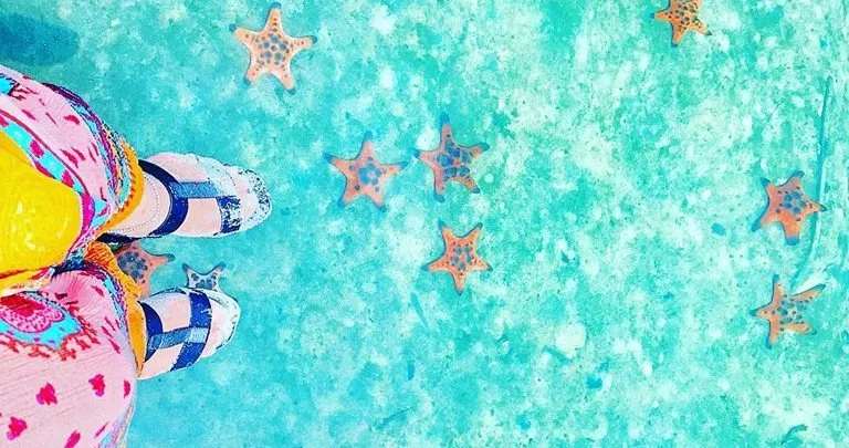 Rach Don Phu Quoc is wild with natural beauty