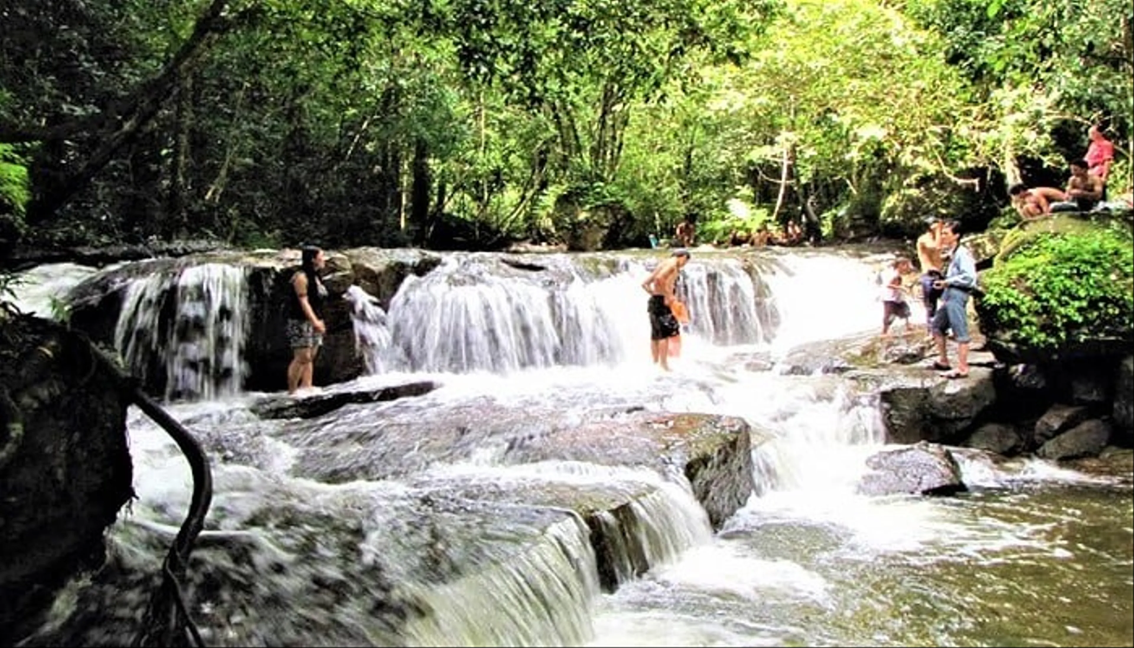 Khám Phá Suối Tranh Phú Quốc  Vẻ Đẹp Thiên Nhiên Giữa Đảo Ngọc