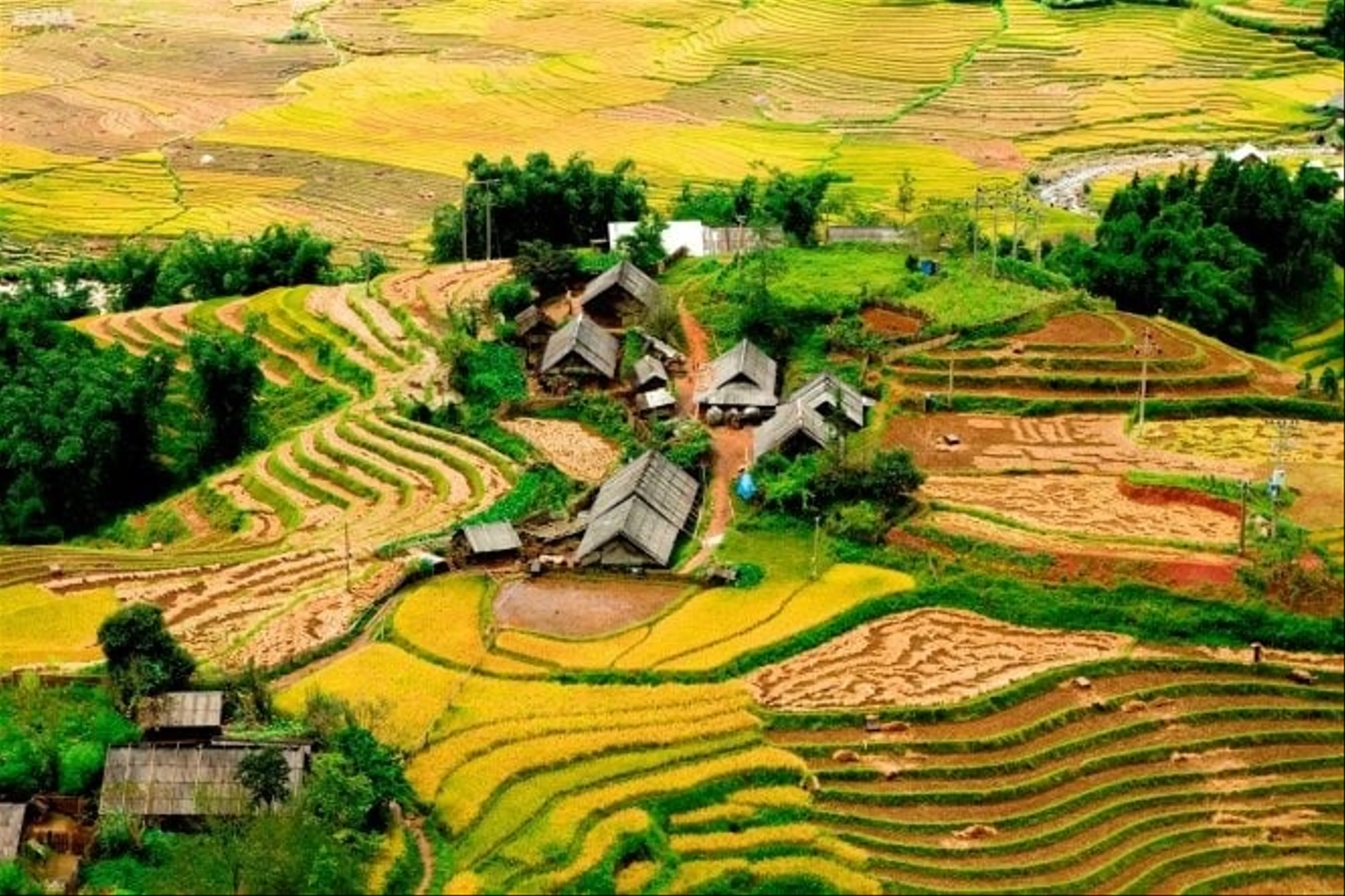 Discover Ban Ho Village A Pristine Gem Nestled Amidst the Northwest Mountains of Sapa