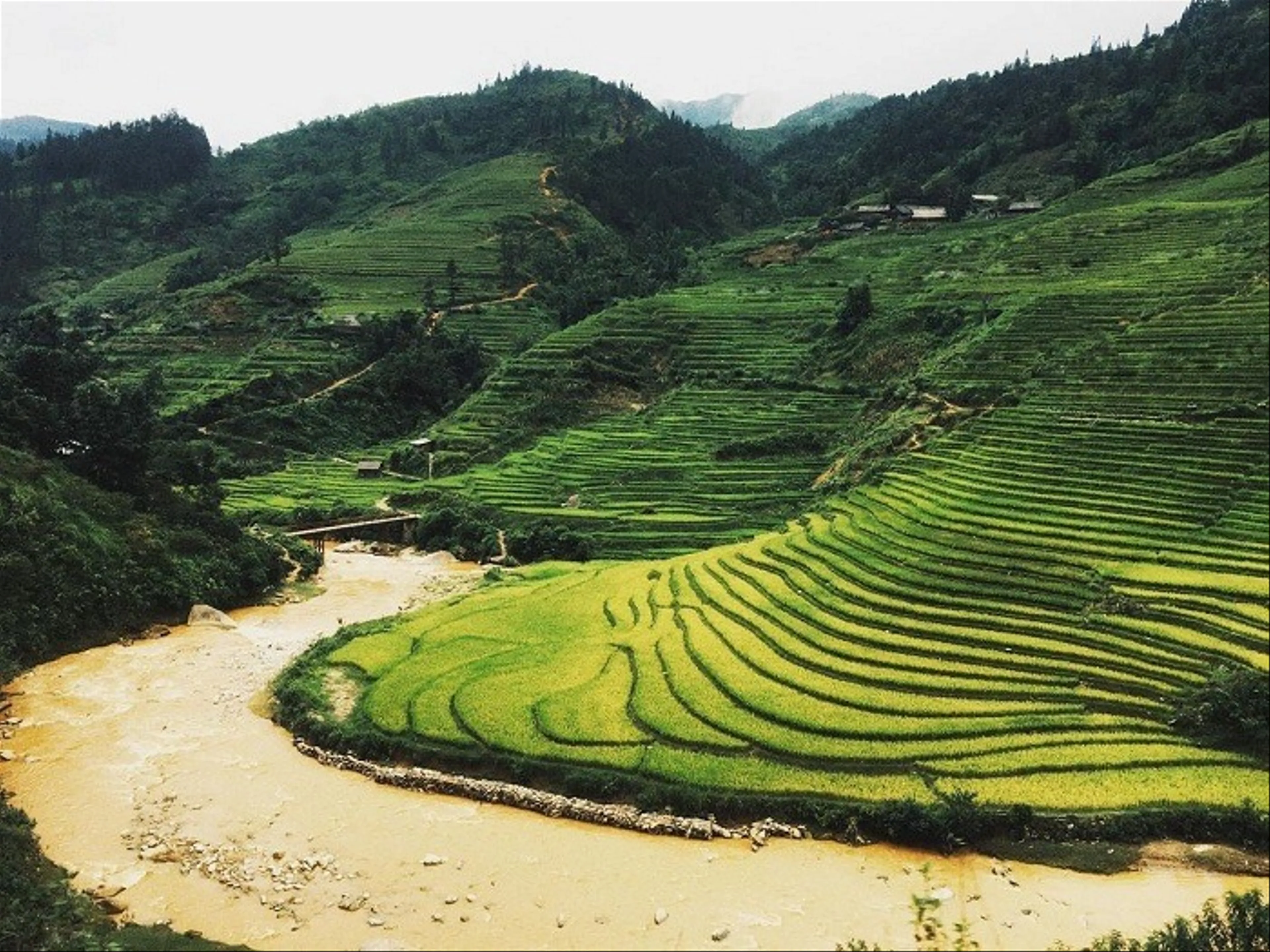 Sau Chua Village A Hidden Gem in the Heart of Sapa