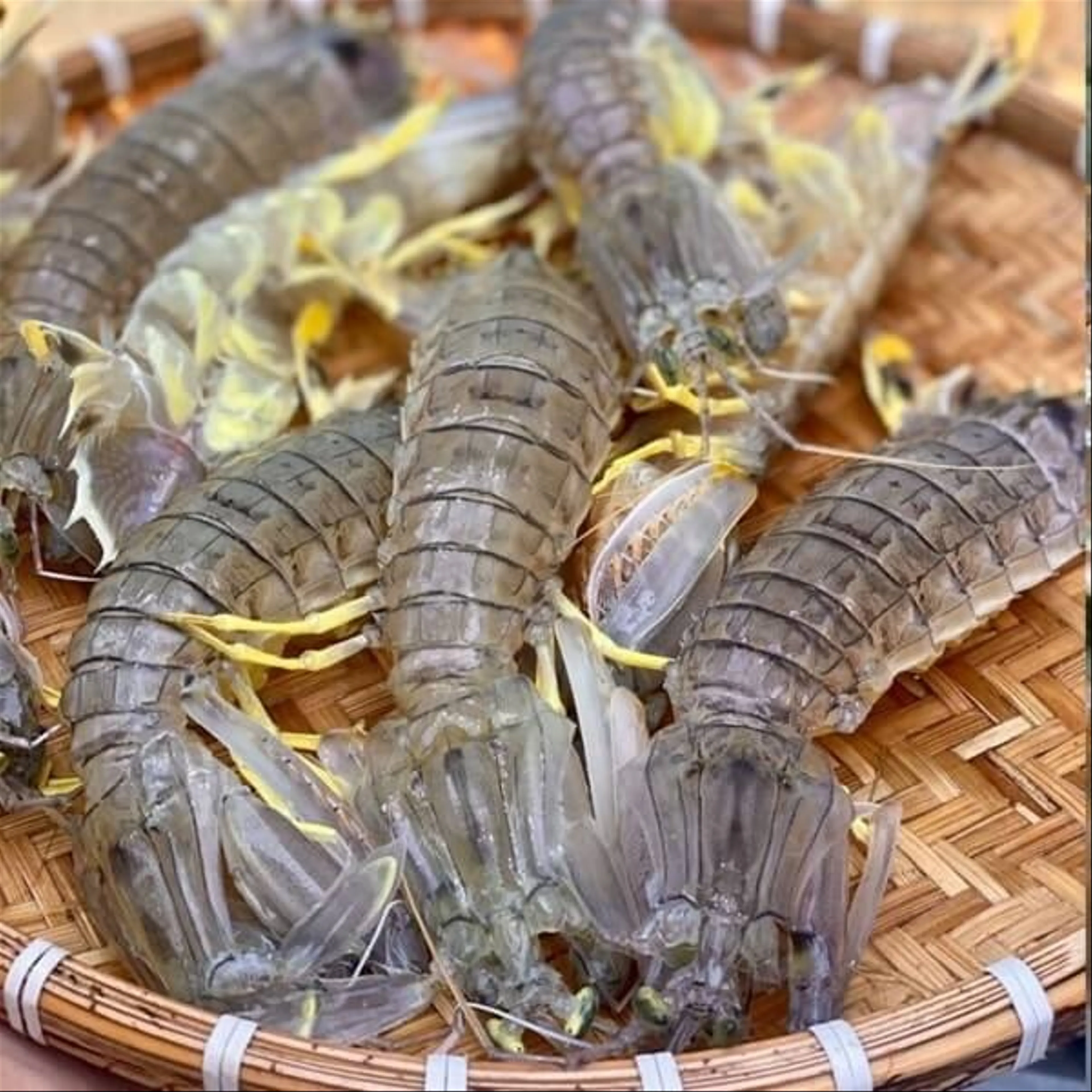 Bề Bề Phú Quốc Đặc Sản Đậm Đà Không Thể Bỏ Lỡ